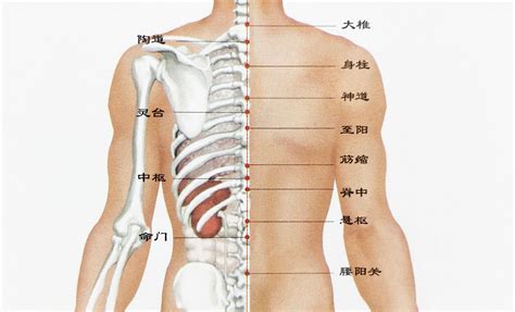 左背有痣男